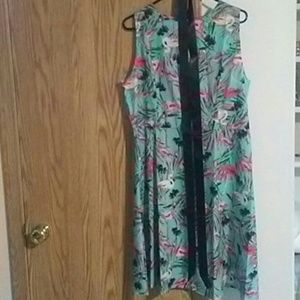 NWOT flamingo swing dress